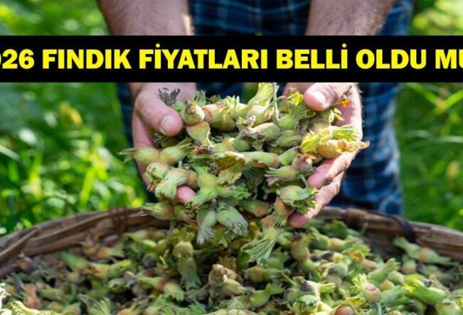 30 EKİM FINDIK FİYATLARI: Fındık fiyatları düştü mü, yükseldi mi? Tarım Kredi Kooperatifleri 2026 fındık fiyatları ne olacak?