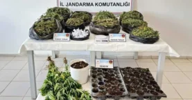 Malatya’da uyuşturucu operasyonu: Çok sayıda tutuklama var!