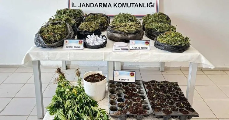 Malatya'da uyuşturucu operasyonu: Çok sayıda tutuklama var!