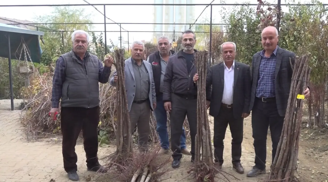Malatya Fidancılar Kooperatifinde başlayan meyve fidanı satış sezonundan bir kare