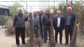 Malatya’da Meyve Fidanı Satış Sezonu Başladı: Fiyatlar Açıklandı