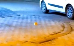 Malatya’da 70 Yaşındaki Adam Silahlı Saldırıda Yaralandı